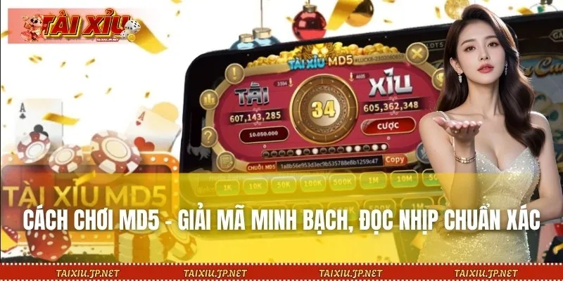 Cách Chơi MD5 – Giải Mã Minh Bạch, Đọc Nhịp Chuẩn Xác