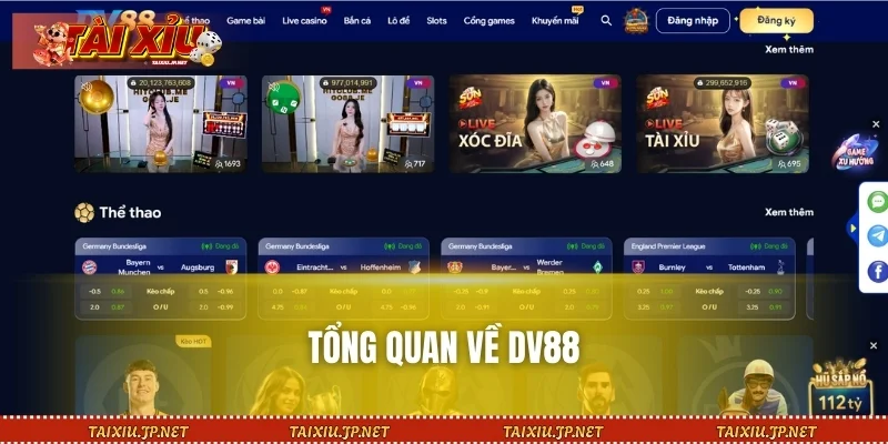 Tổng quan về DV88