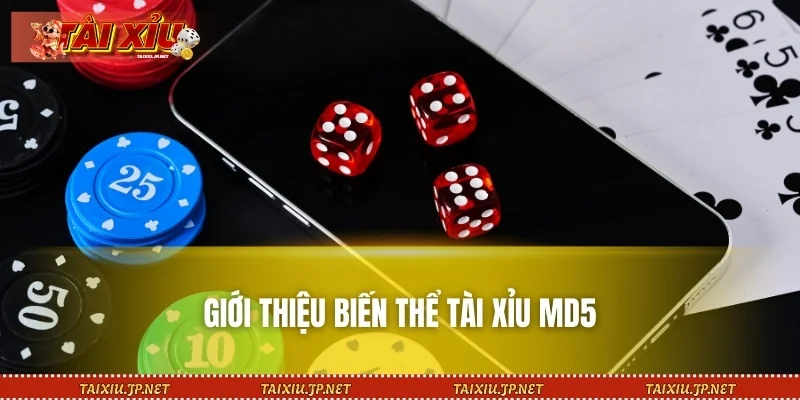 Giới thiệu biến thể Tài Xỉu MD5