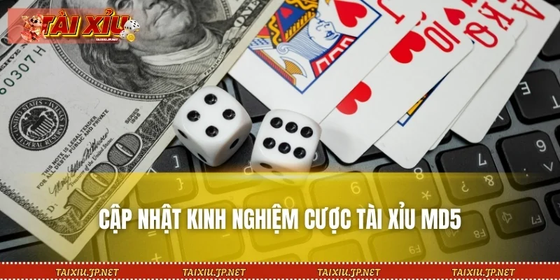 Cập nhật kinh nghiệm cược Tài Xỉu MD5